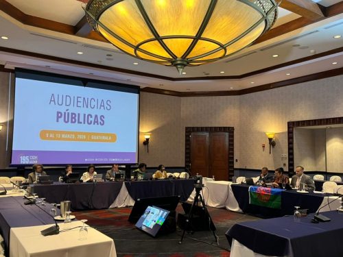 audiencia-pueblos-roma-cidh00010