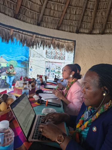 visita-mexico-grupo-afrodescendientes00002
