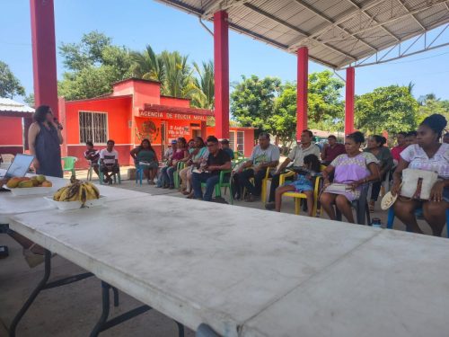 visita-mexico-grupo-afrodescendientes00004