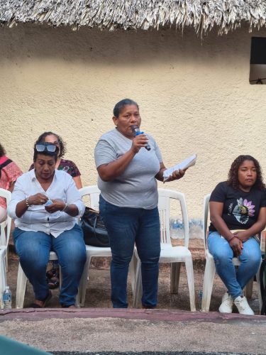 visita-mexico-grupo-afrodescendientes00005