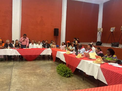 visita-mexico-grupo-afrodescendientes00007